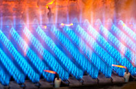 Gwredog gas fired boilers